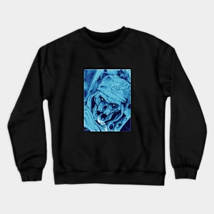 Revenant Crewneck Sweatshirt